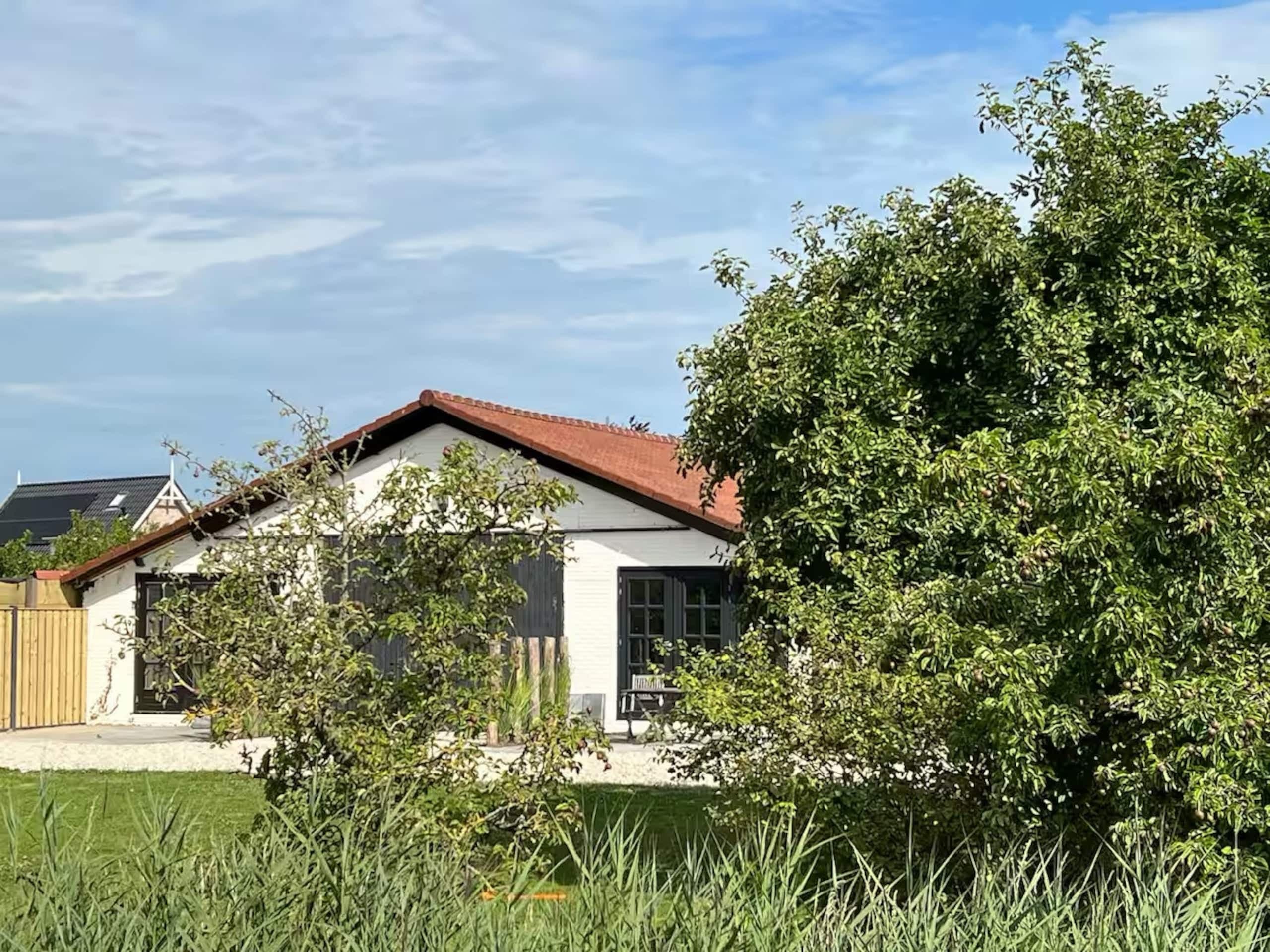 Tuin met struiken, met het huis op de achtergrond